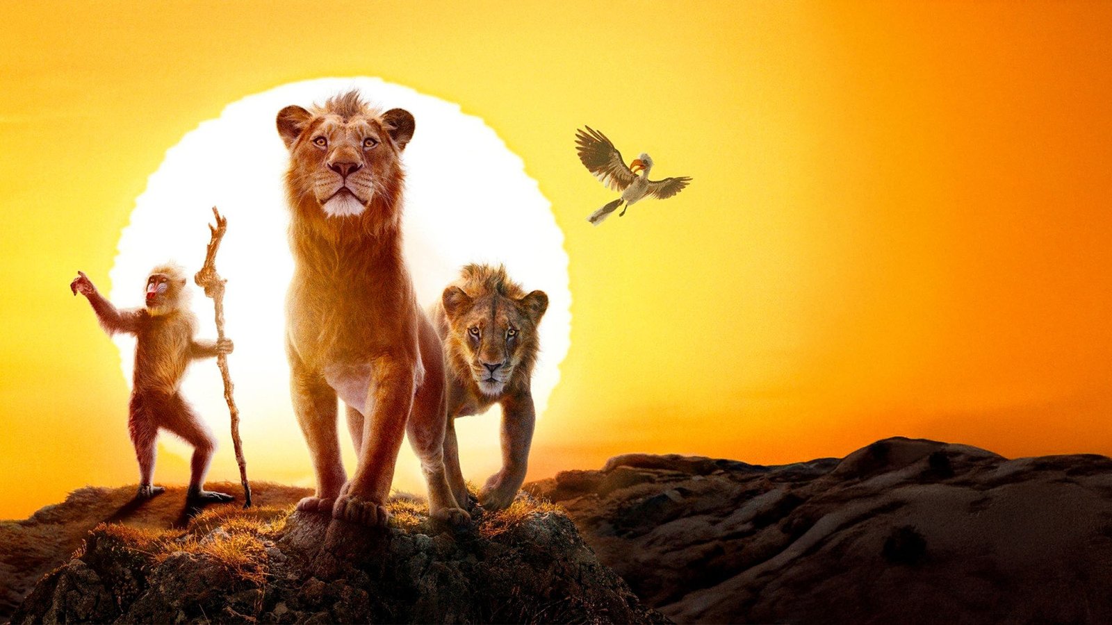 فيلم Mufasa The Lion King 2024 مترجم